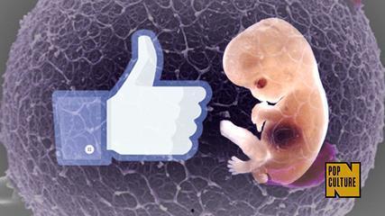 冻卵危机,女性生育自由的挑战与反思