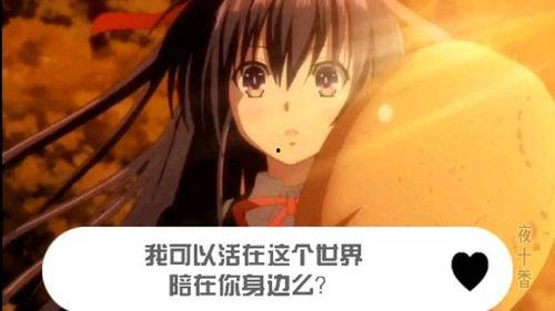 这个美好的世界,美好世界的愿景与蓝图